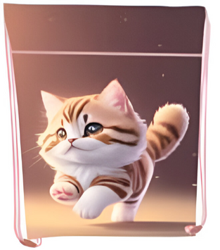 Сумка для взуття Class Kitty 46&times;33 см поліестер (2535C) 2535C фото